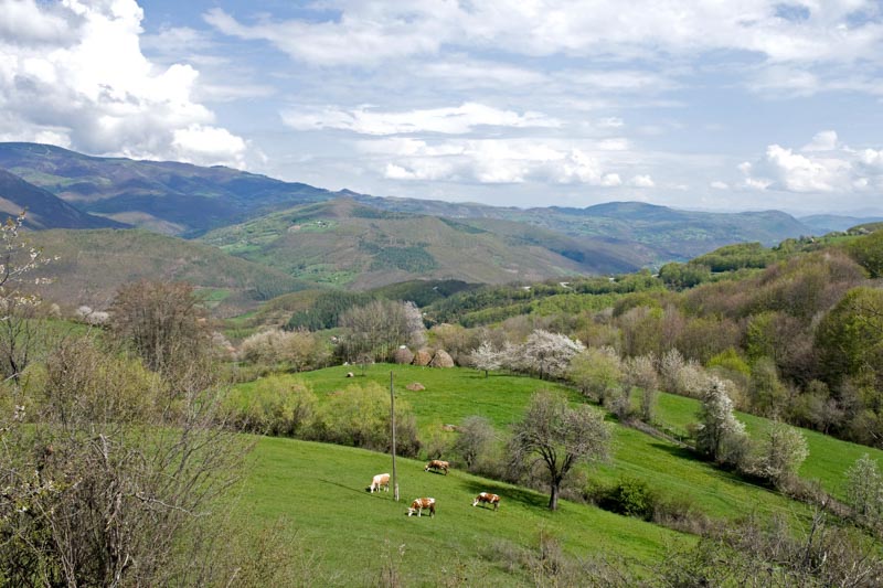 Schöne Landschaft auf der Fahrt nach Südostserbien in Richtung Mokra Gora