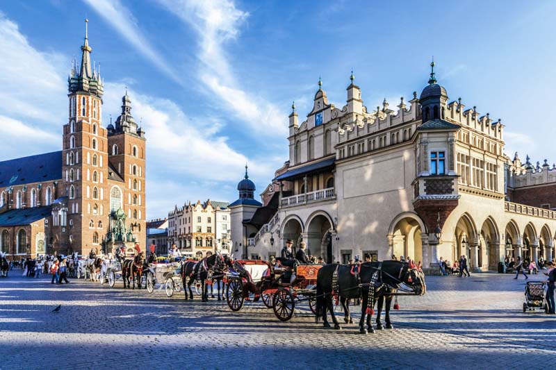 Arranging, Building - Activity, Carriage, Cloth Hall, Cobblestone, Color Image, Famous Place, Gothic Style, Horse, Horse Cart, Mariacki, Market, Multi Colored, People, Riding, Sunlight, Urban Scene, Visit, architecture, beautiful, cathedral, church, city, europe, krakow, medieval, old, poland, summer, sunny, tourism, tourist, town