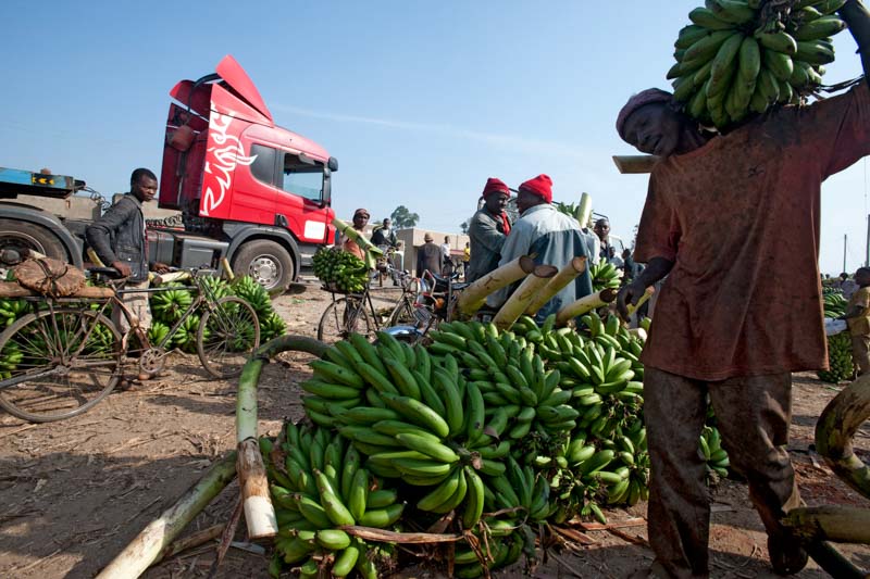 Uganda: Markt auf dem Kochbananen gehandelt werden