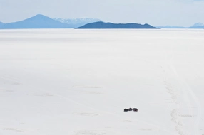 Salar de Uyuni - die Insel Incahuasi mit einen Kakteenwald und spektakulären Ausblicken.