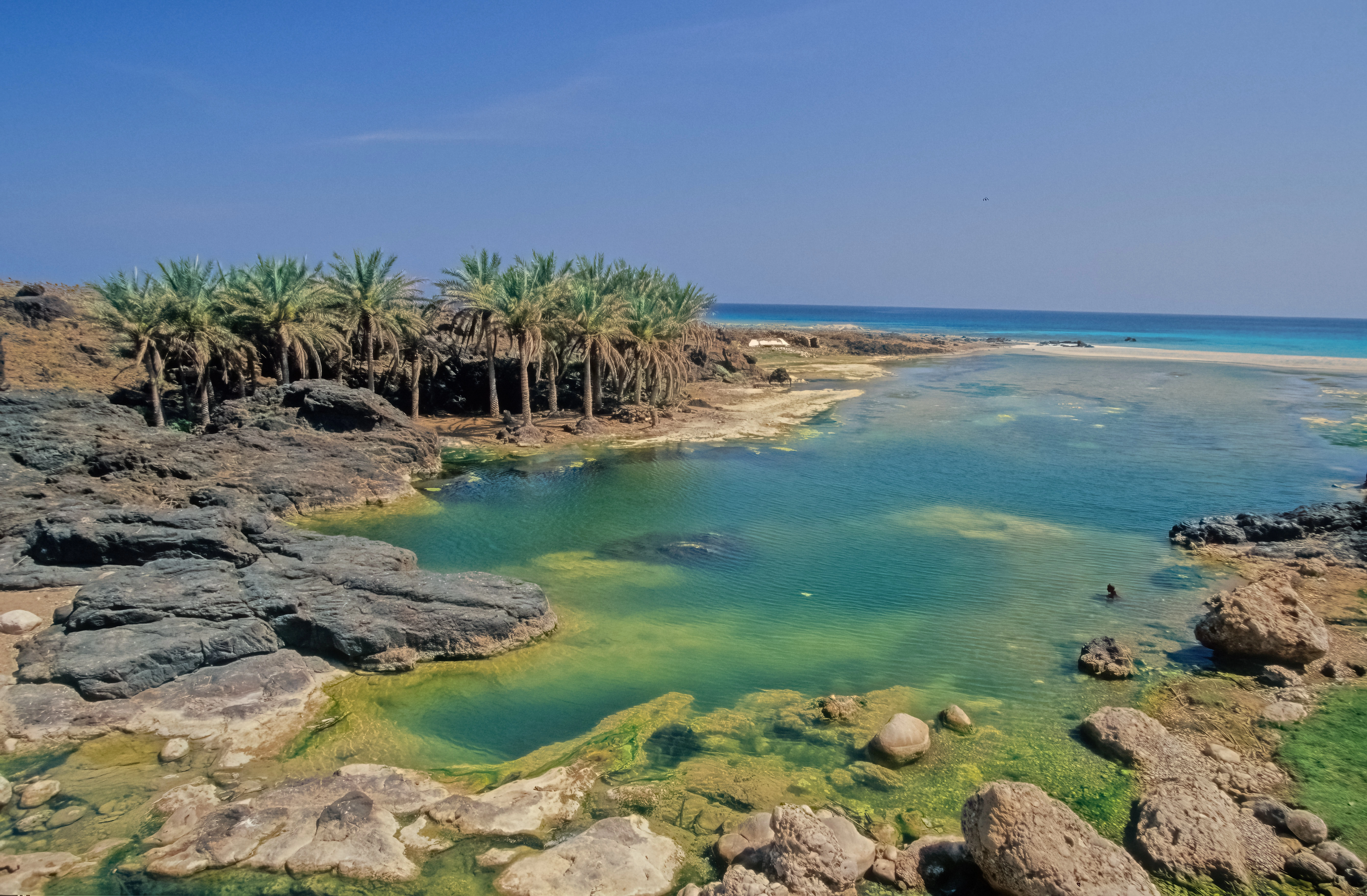 Sokotra, Jemen, REiseverantalter, Gruppenreisen, Spezialist