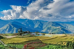 Assam, Bhutan, Canyon, Himalaya, Mongar, Scenery, Semtokha Hwy, Trashigang, agriculture, areas, asia, attractive, bhutanese, buddhism, buddhist, clouds, colorful, cultivation, destination, eastern, environment, escape, farm, field, freedom, green, hill, holiday, land, landscape, mountain, nature, outdoors, panorama, peaceful, plantation, plants, punakha valley, rice, rural, scenic, terrace, terraced, tourism, tourist, tranquil, transport, valley, village