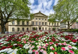 Deutschland, alt, alt ehrwürdig, anlagen, architektur, aula, baum, bauwerk, berühmt, blau, blumen, büro, büros, campus, denkmal, ehre, elite, fenster, forschung, geisteswissenschaften, geschichte, göttingen, haus, himmel, historie, hochschule, innenhof, innenstadt, karzer, lehre, licht, medizin, monument, natur, naturwissenschaften, niedersachsen, nobelpreis, park, professoren, präsidium, repräsentativ, sehenswürdigkeit, stadt, städtisch, uni, universität, veranstaltungen, verwaltung, wissenschaft, öffentlich
