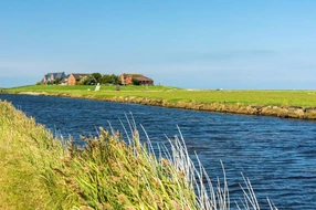 Hallig, Hallig Hooge, Locations, Ockelützwarft, Warft, [buildings], [states], architecture, copy space, dwelling mound, east frisia, europe, european, german, germany, house, landscape, meadow, natural, nature, north sea, photography, rural, schleswig-holstein, tidal creek, water