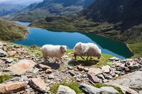 Wales, Snowdonia National Park