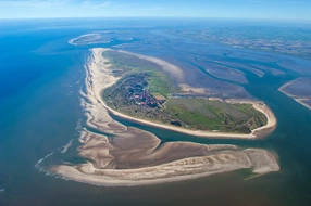 Deutschland, Draufsicht, Ebbe, Ferieninsel, Flugaufnahme, Flugbild, Inselwelt, Luftblick, Natürlich, Priel, Sand, flut, friesland, idylle, idyllisch, insel, inselwatt, landschaft, luftansicht, luftaufnahme, luftbild, meer, nationalpark, nationalpark niedersächsisches wattenmeer, natur, niedersachsen, nordsee, ostfriesiche inseln, sandbank, spiekeroog, vogelperspektive, wasser, wattenmeer, Übersicht, übersicht