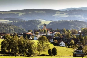 Kloster, Kultur, Landwirtschaft, anblick, ansicht, ausblick, blick, doppeltürme, dorf, foto, gemeinde, haus, historisch horizontale, kirche, kirchturm, klosterkirche, kugelförmig, kühe, land, landschaft, ländlich, monuments, ort, panorama, region, schwarzwald, sightseeing, st märgen, st.märgen, stadt, stelle, tourismus, touristisch, ungewöhnlich, wald, wiesen