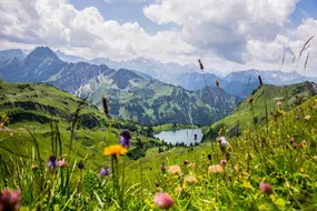 Kulturreise, Naturreise Allgäu, Seealpsee