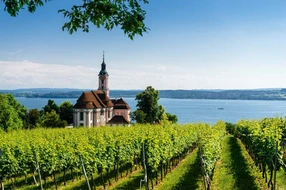 Kloster, See, ausruhen, ausspannen, birnau, bodensee, boot, erholen, erholung, kirche, kloster birnau, landschaft, promenade, ruhe, stadt, ufer, umwelt, urlaub, weinberg, weinreben