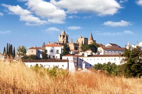 Portugal, Portuguese, alentejo, ancient, apostles, architecture, art, azulejos, background, beautiful, building, catedral, cathedral, catholic, christian, church, classic, classical, cloister, europe, evora, gothic, heritage, historic, historical, history, landmark, medieval, monument, old, outdoors, religion, religious, sacred, stained, tourism, tower, unesco
