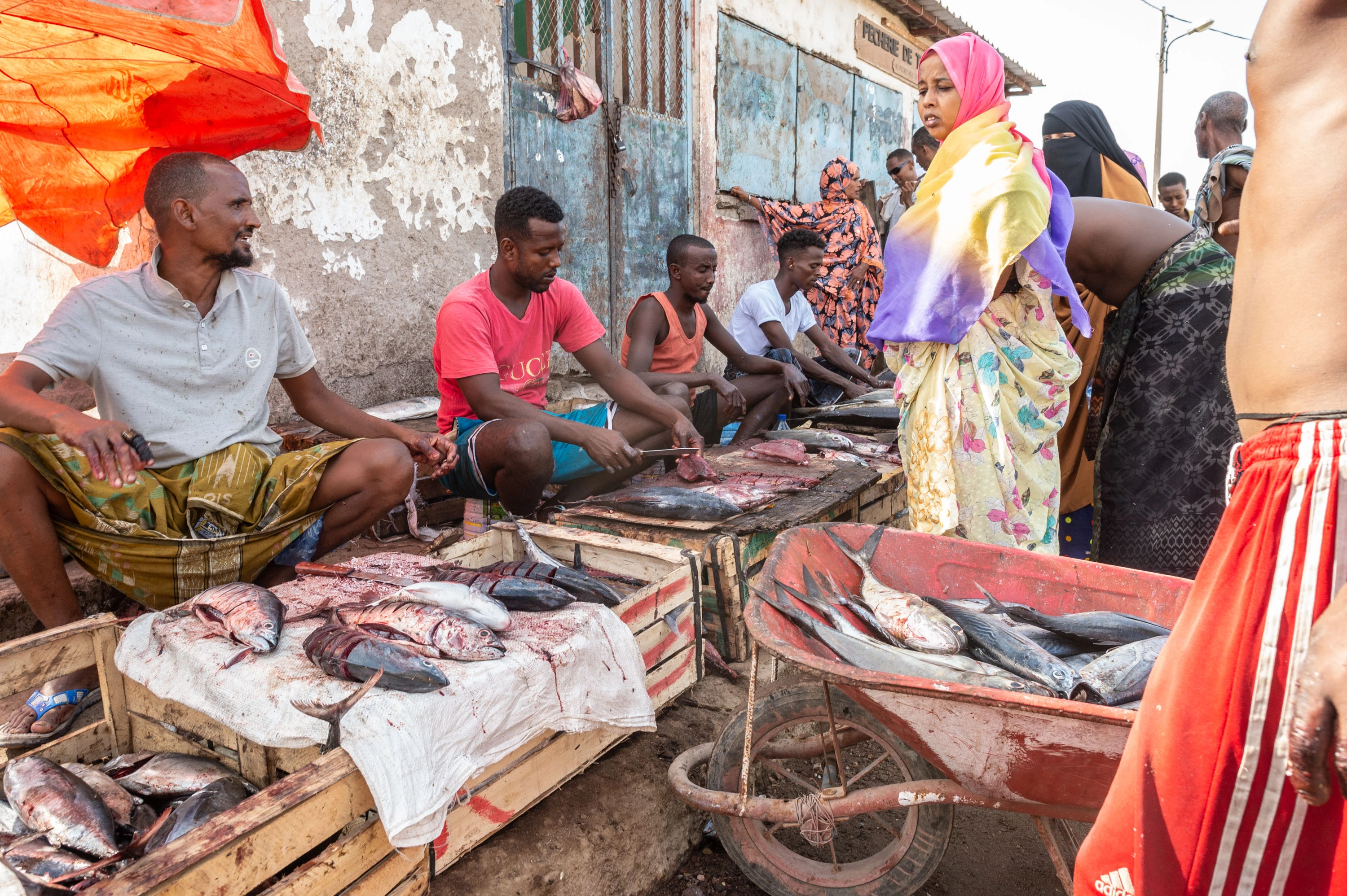 Djibouti, Dschibuti, Gruppenreise, Studienreise