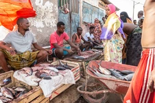 Dschibuti und Somalilan, Studienreise Gruppenreise