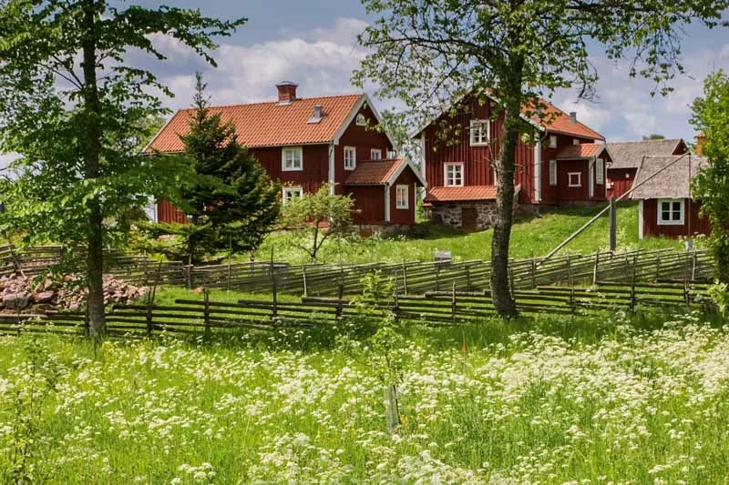 Deciduous tree, Grass, Idyllic, Pasture, Scenery, Sweden, Wildflower, agriculture, beautiful, beauty, bloom, blooming, blossom, blue, building, clear sky, country, countryside, cultural, cultural history, farm, farmland, farmstead, field, flower, flowers, foliage, grasses, grassland, green, greenery, heritage, house, land, landscape, leafy, lush, meadow, nature, nobody, outdoors, pastoral, peaceful, picturesque, provincial, red, rustic, scandinavia, scenic, serene, sky, summer, swedish, thickly, tree, verdure, view, wood, wooded