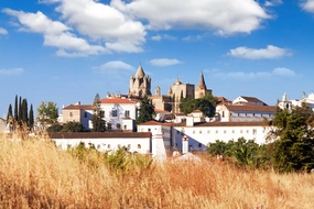 Gruppenleiter Inforeise Portugal