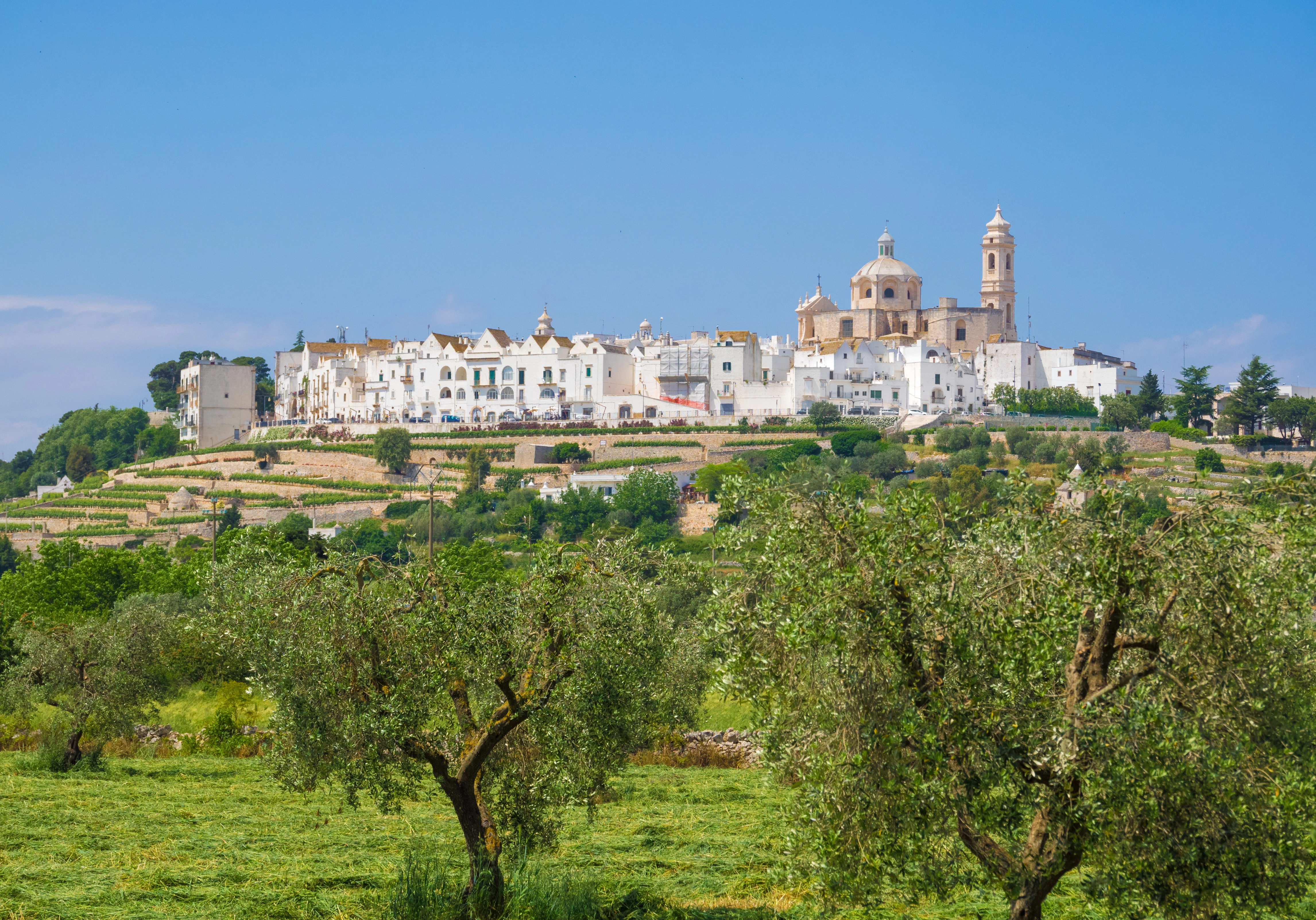 aesthetics, agriculture, alberobello, alley, apulia, arches, architecture, atmosphere, bari, building, candy, cleanliness, cloudy, doors, flowers, hedges, hill, historic center, italy, locorotondo, magic, order, paved, plain, poetic, puglia, roofs, south, southern, stairs, tiles, tourism, tourist attraction, town, trade, travel, trulli, vases, village, vineyards, white, windows, wine