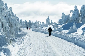 Deutschland, Jahreszeit, aktiv, aussen, berg, blau, brocken, eis, emporragen, fluchtpunkt, frost, fußgänger, gefroren, harz, himmel, horizontal, idylle, idyllisch, kalt, landschaft, leute, ländlich, natur, raureif, reiseziel, road, sachsen-anhalt, schnee, schneebedeckt, schönheit, silhouette, sonnenschein, steigung, straße, szene, tourismus, tourist, touristisch, urlaubsort, wald, wandern, weiß, winter