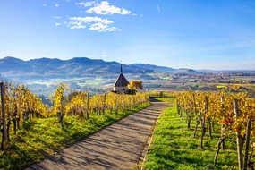 Rheinebene, Ölbergkapelle, Gruppenreise, Kulturreise