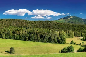 Bayern, Deutschland, Naturpark, Sonne, Süddeutschland, alm, almwiese, arber, ausflugsziel, bairisch, bayerisch, bayerisch eisenstein, bayerischer wald, bayrisch, bayrischer wald, bekannt, berg, berge, berggipfel, bergwald, bergwandern, bergweide, bodenmais, böhmerwald, cham, daheim, deutsch, europa, gebirge, gipfel, großer arber, heimat, mittelgebirge, nationalpark, natur, oberpfalz, ostbayern, panorama, radom, regen, reiseziel, sehenswürdigkeit, sommer, tschechien, velký javor, wahrzeichen, wald, wandern, wanderweg, weide, wiese