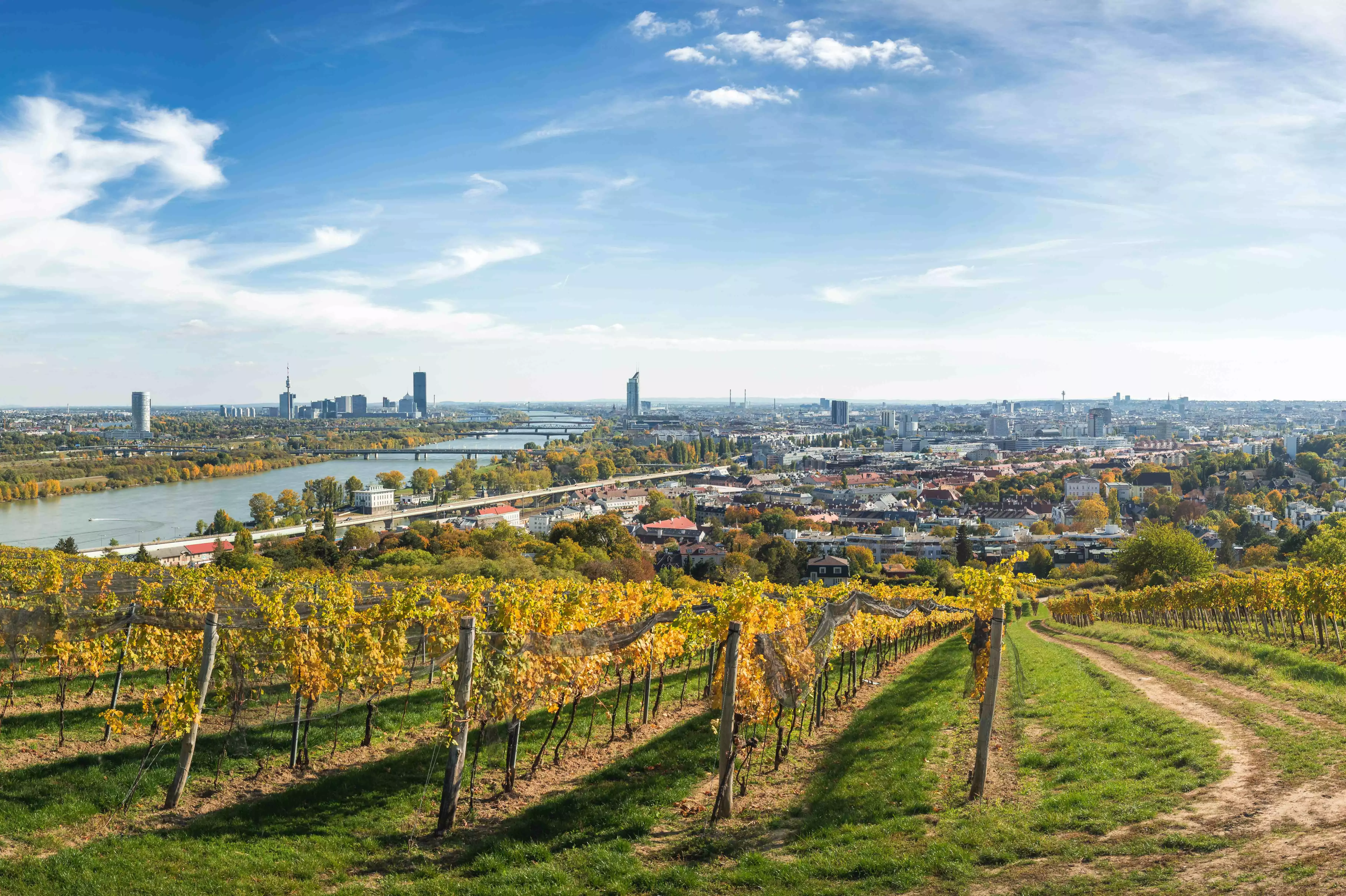 Wien, Reiseprogramm, Studienreise, Städtereise