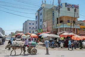 Studienreise, Exkursion Somaliland, Spezialist