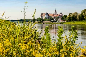 Gebäude, Luther, Reformation, Sachsen, Turm, Wittenberg, architektur, ausflug, ausflugsziel, bauwerk, burg, denkmal, elbe, elblandschaft, fassade, fluss, garten, geschichte, hartenfels, historisch, kirche, kreisstadt, landschaft, martin luther, meißen, nordsachsen, oschatz, panorama, reisen, reiseziel, renaissance, riesa, schloss, schlossgarten, sehenswert, sehenswürdigkeit, stadt, stadtansicht, torgau, tourismus, ufer, urlaub, urlaubsziel