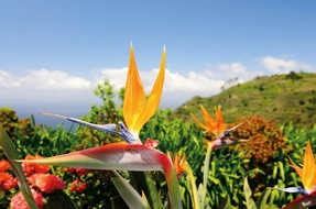 Portugal, Madeira