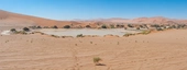 Namib-Wüste bei der Düne "Big Mama" östlich der Salz-Ton-Pfanne, die sich in starken Regenjahren mit Wasser füllt.