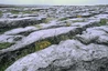 Karstlandschaft des Gebietes  "The Burren"