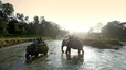 Safari auf Elefantenrücken im Chitwan-Nationalpark