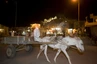 Eselskarren sind in der Oase Siwa gängige Verkehrsmittel
