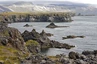 Snæfellsnes: Während des Spaziergangs nach Arnarstapi - Blick auf die Küste