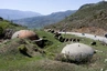Die sog. Hoxha-Pilze sieht man überall im Land. 700.000 ließ Enver Hoxha als Einmann-Bunker zur Verteidigung bauen.