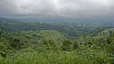 Blick auf die grüne Ebene im Süden Balis