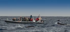 Delfin- und Walbeobachtung vor Funchal. Hier mit drei Grindwale.