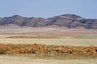 Wechselndes Farbspiel der Felswände und der Talbodenvegetation