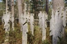 Kurische Nehrung, Nida: Friedhof der Deutschen Kirche