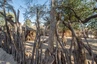 Besuch eines sog. Living Village bei der Hakusembe River Lodge, Rundu