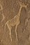 Die bis zu 10.000 Jahren und älteren Felsgravuren von Twyfelfontein