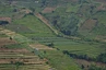 Terassenlandwirtschaft auf Java