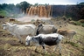 Bahar Dar: Tississat-Wasserfälle