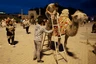 Fotoshooting auf dem Kamel