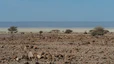 Dschibuti: Fahrt zurück nach Dikhil