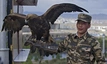 Ulanbaatar: Erinnerungsfoto mit Adler