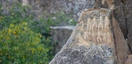 Nationalpark von Qobustan mit steinzeitlichen Felszeichnungen