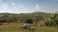 Ruanda: Besuch einer Kaffeeplantage bei Huje