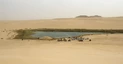 Ein Badesee in der Wüste nahe bei Siwa