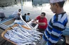 Fischmarkt in Mutrah am frühen Morgen