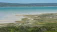 West-Coast-Nationalpark - Blick über die Lagune mit unzähligen Flamingos