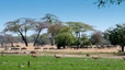 Selous-Nationalpark
