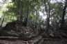 Palenque - Tempelruinen im umliegenden Urwald